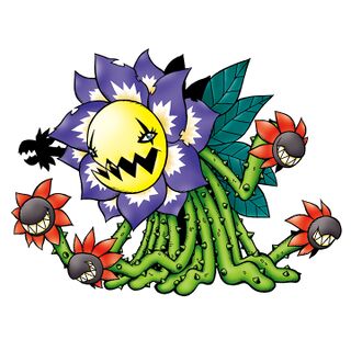 blossomon